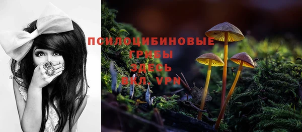прущий лед Вязники