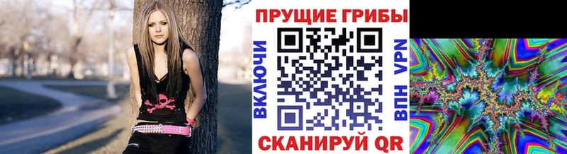 mega как зайти  Дятьково  Псилоцибиновые грибы Psilocybine cubensis  купить наркоту 